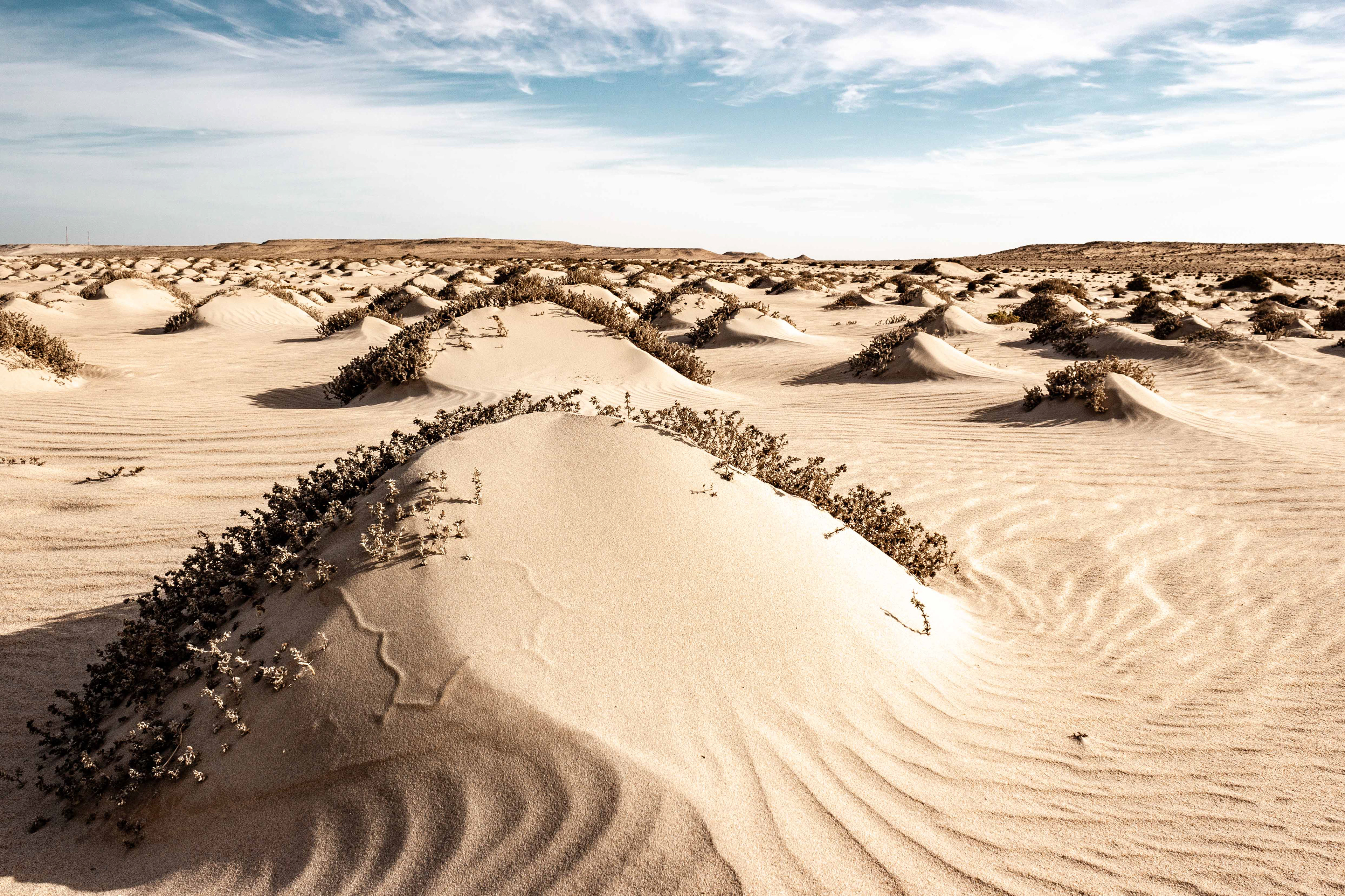 Die Sahara ist alles anderes als ein Monotones Stück Landschaft.