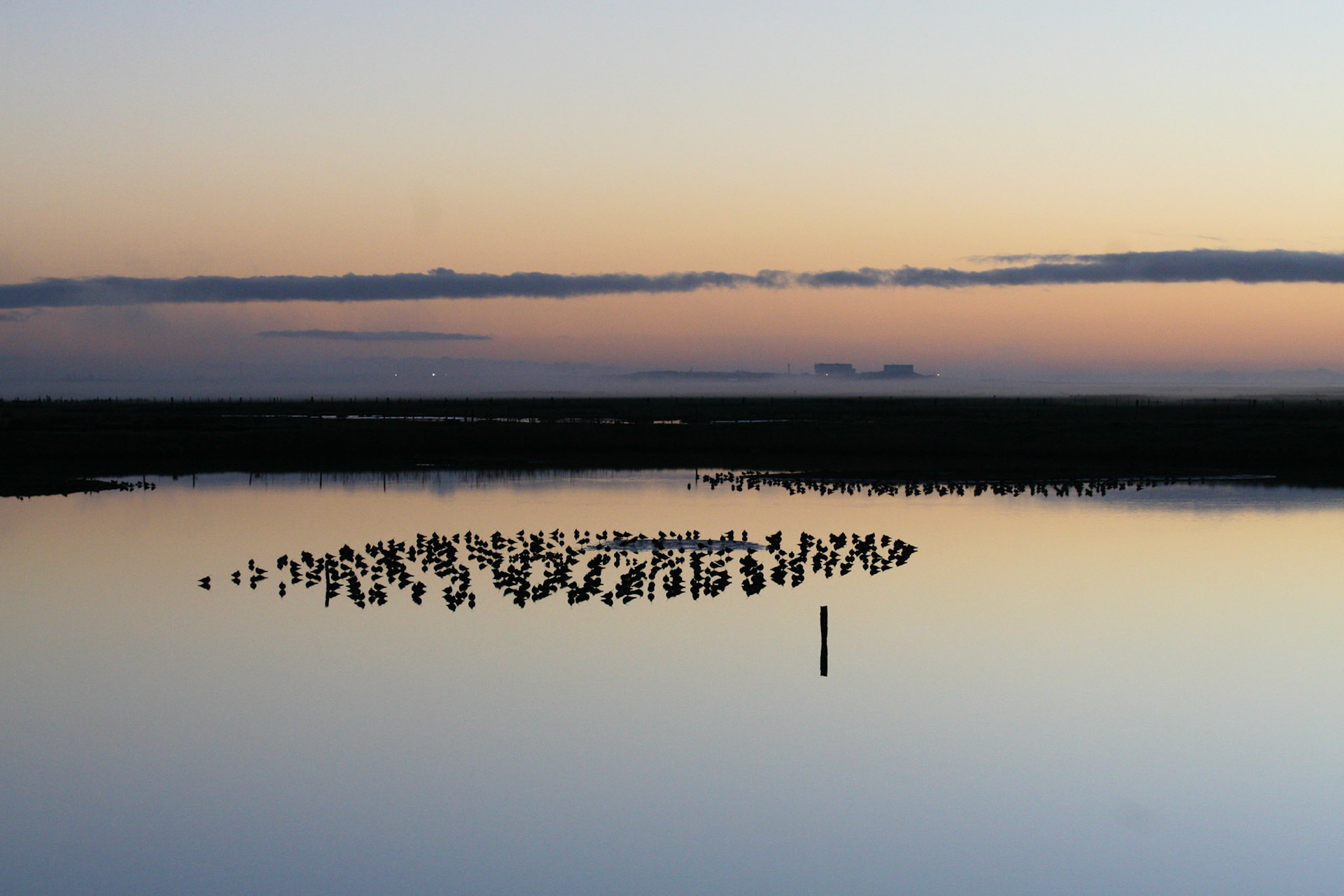Leighton Moss