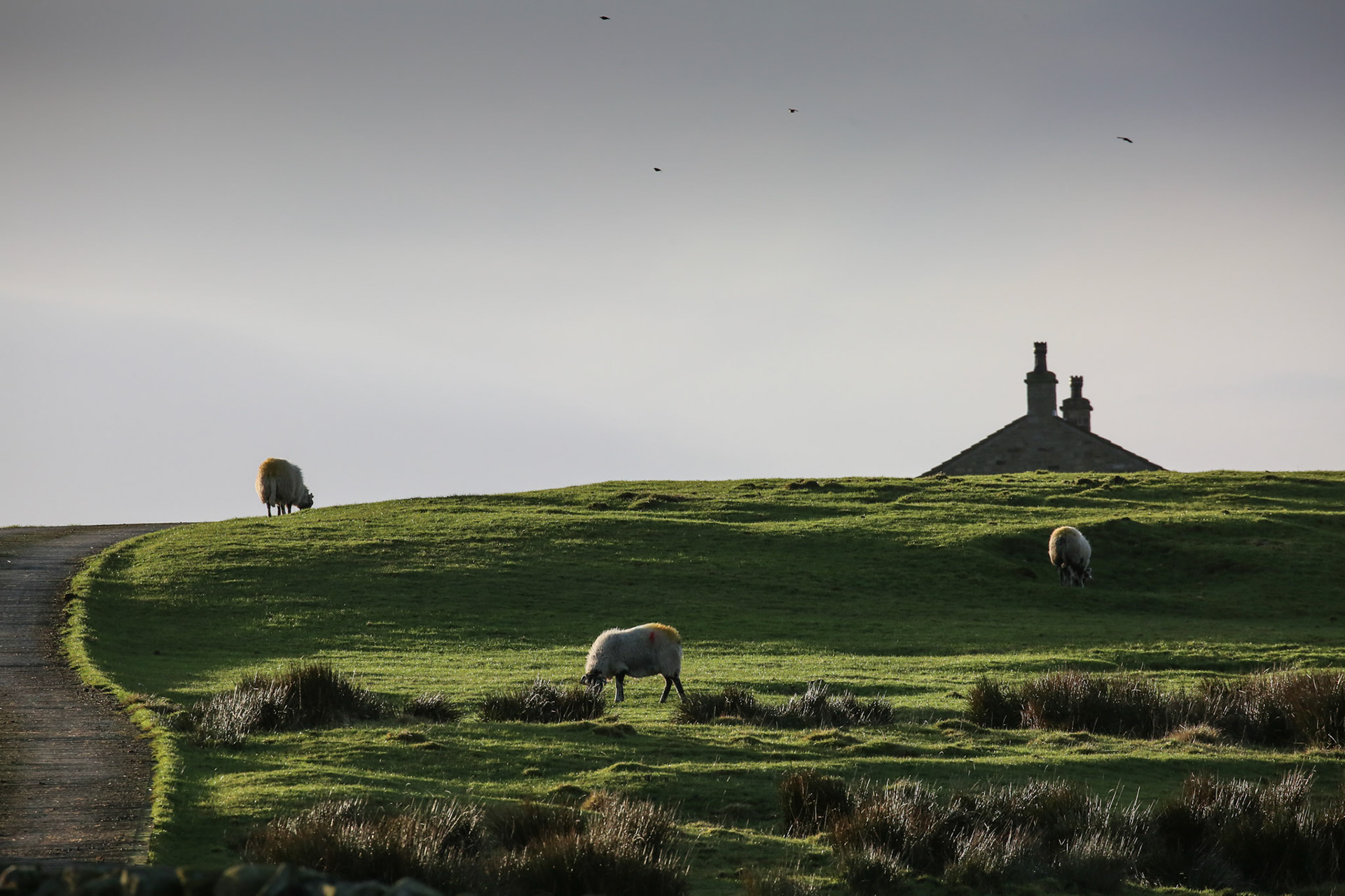 New Year's Eve, Yorkshire