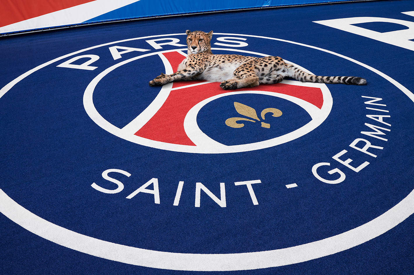Parc des Princes #1