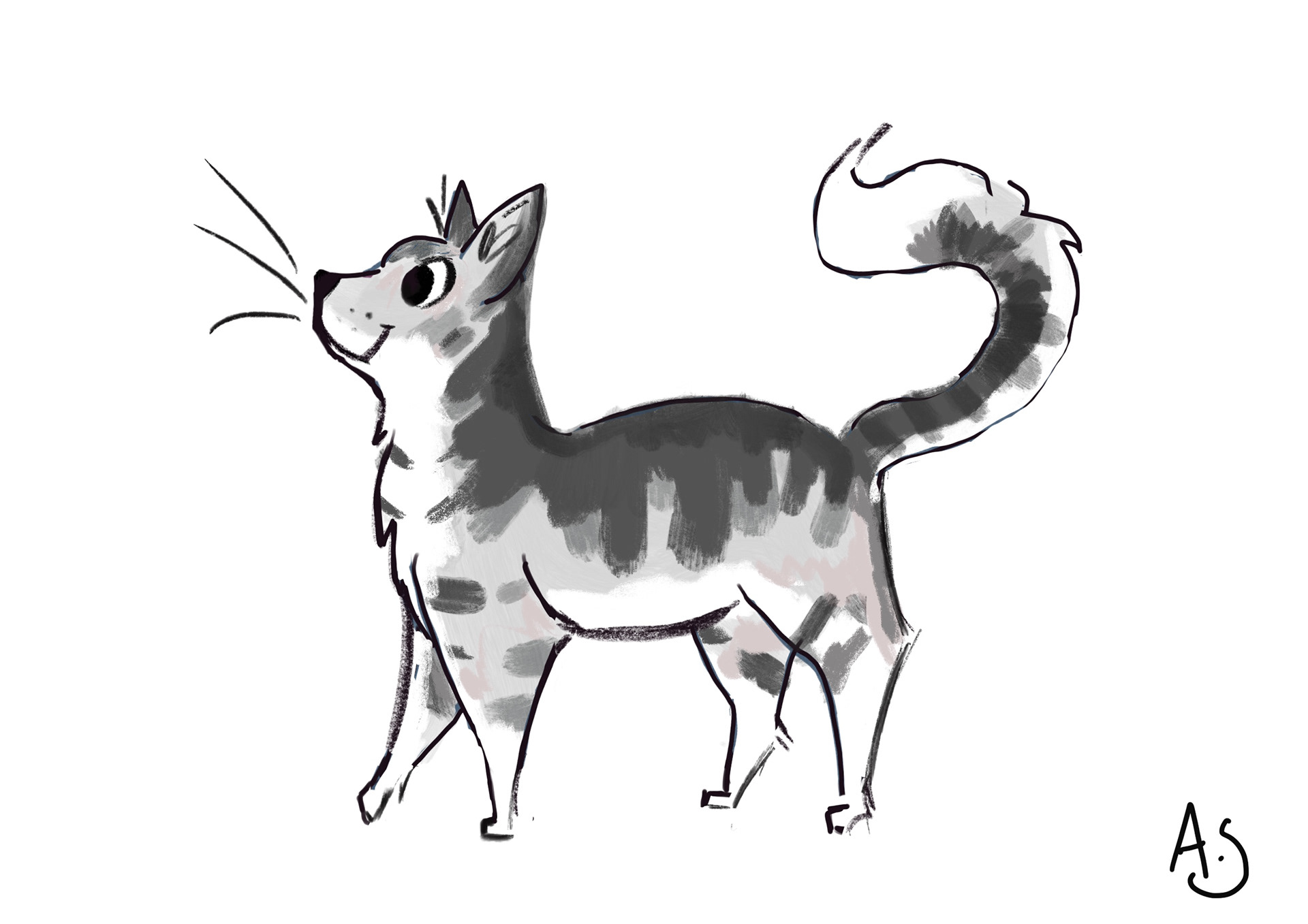 Kitty