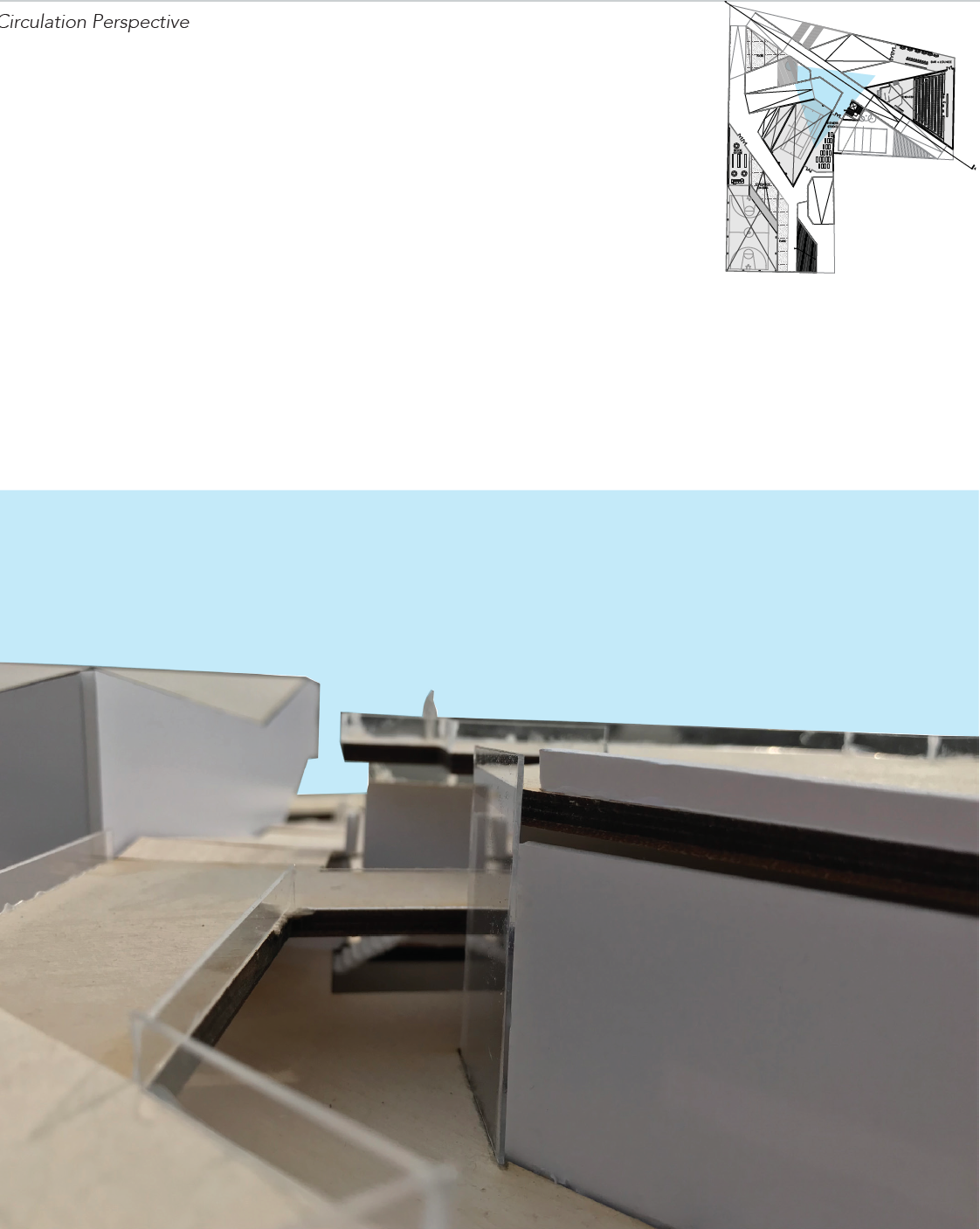 Circulation View