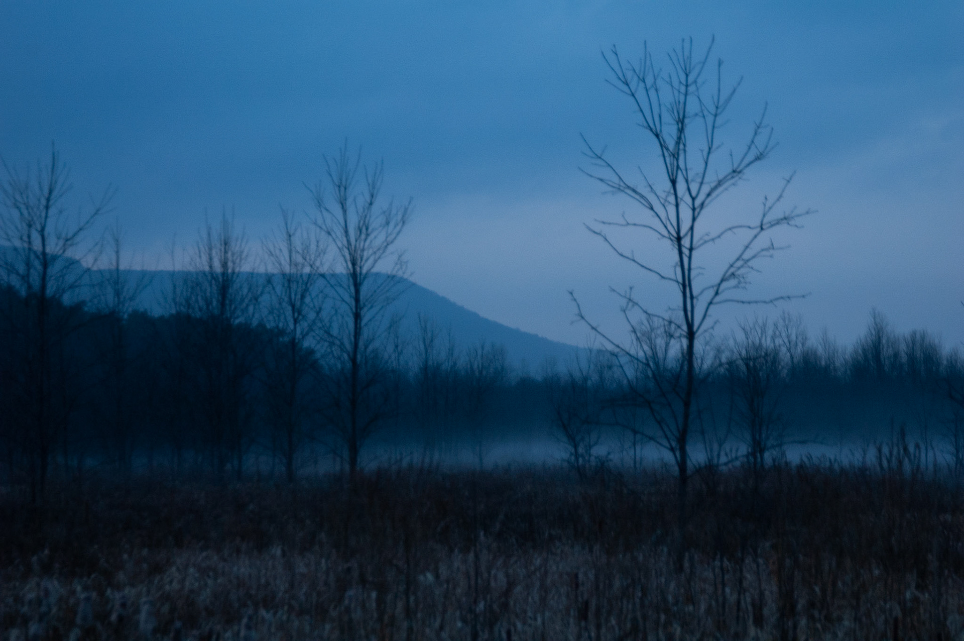 The Helderbergs near Altamont, NY