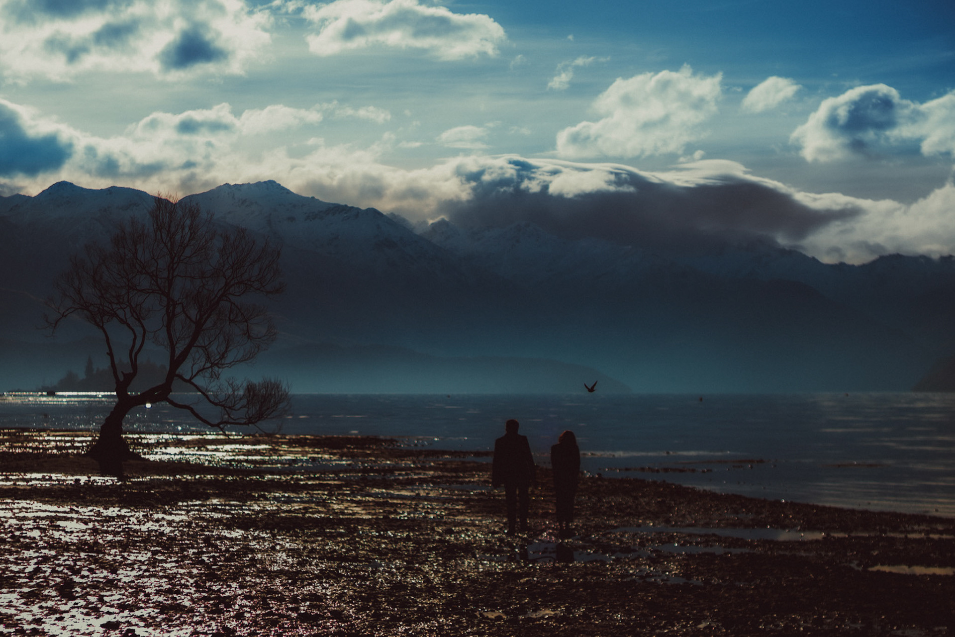 A moody lakeside engagement session in front of #thatwanakatree, Otago, New Zealand, June 2017, Sony A7RII.