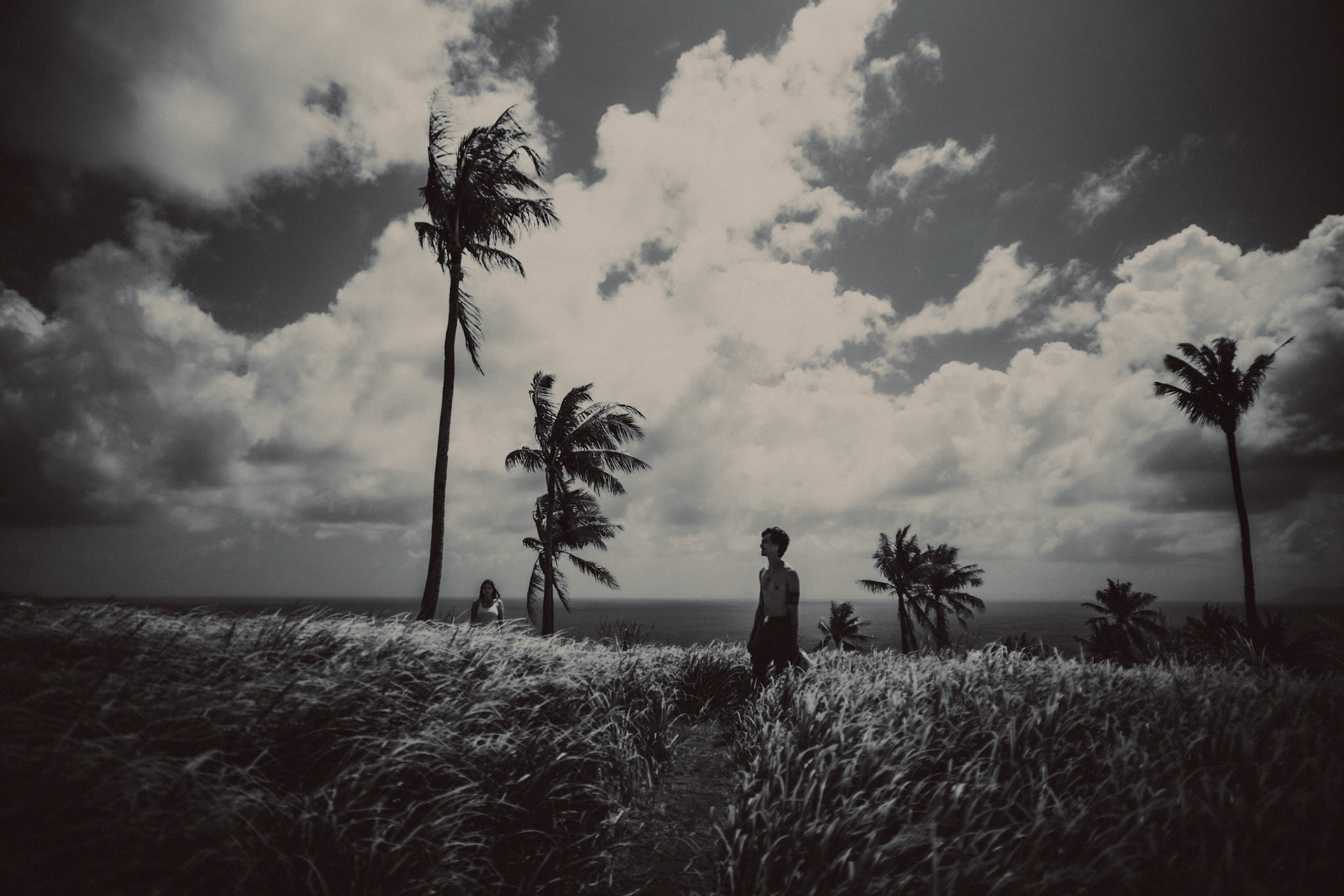 Adventure newlywed portraits with Corregidor Island's palm trees and tall cogon grass, from Jeo and Bianca's island hopping honeymoon couple portrait shoot in Surigao del Norte, Philippines, Southeast Asia, February 2020, Sony A7III