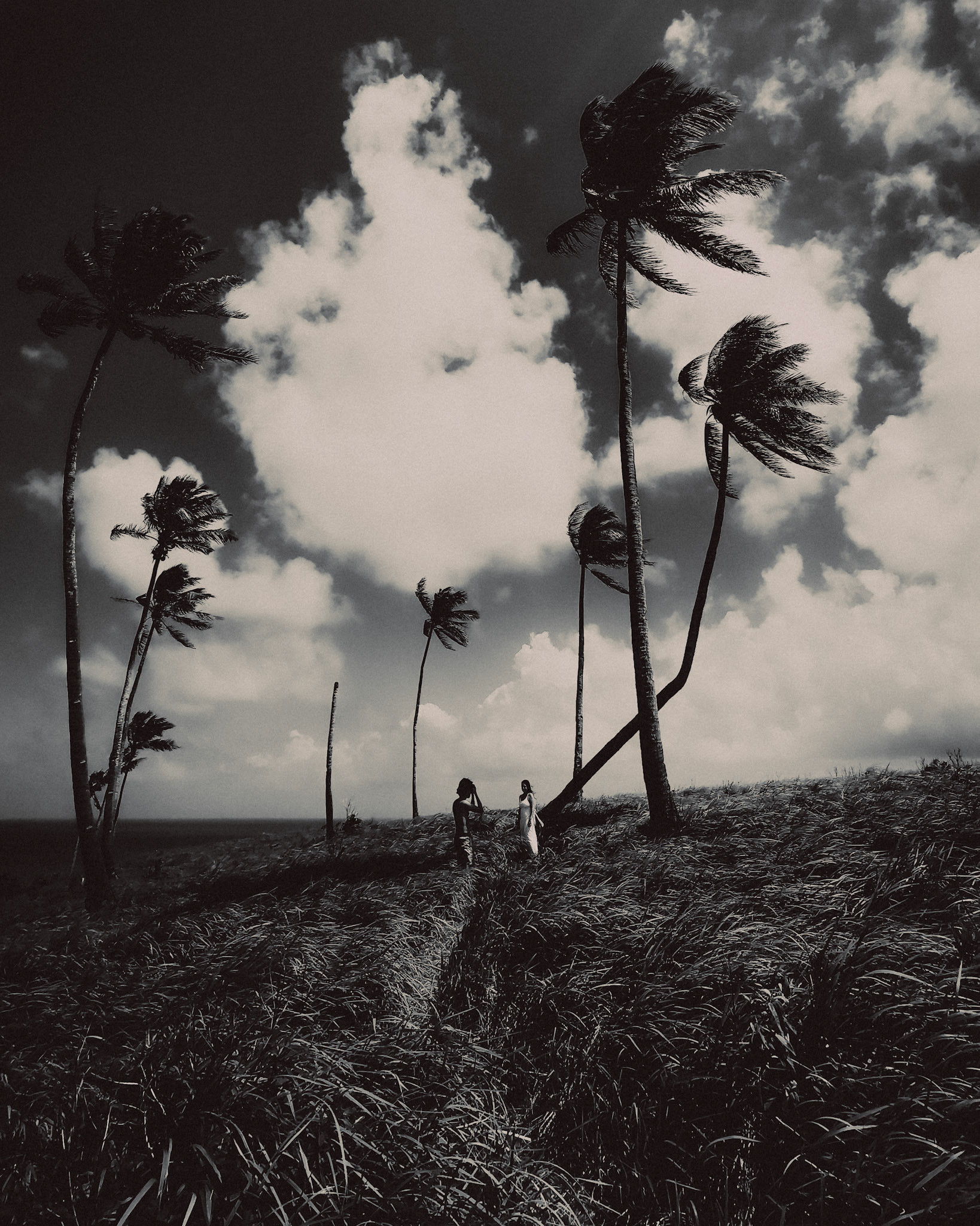 A moody black and white photo of a couple in between palm trees against a clear horizon, Corregidor Island, Surigao del Norte, Philippines, March 2019, Huawei Mate 20 Pro.
