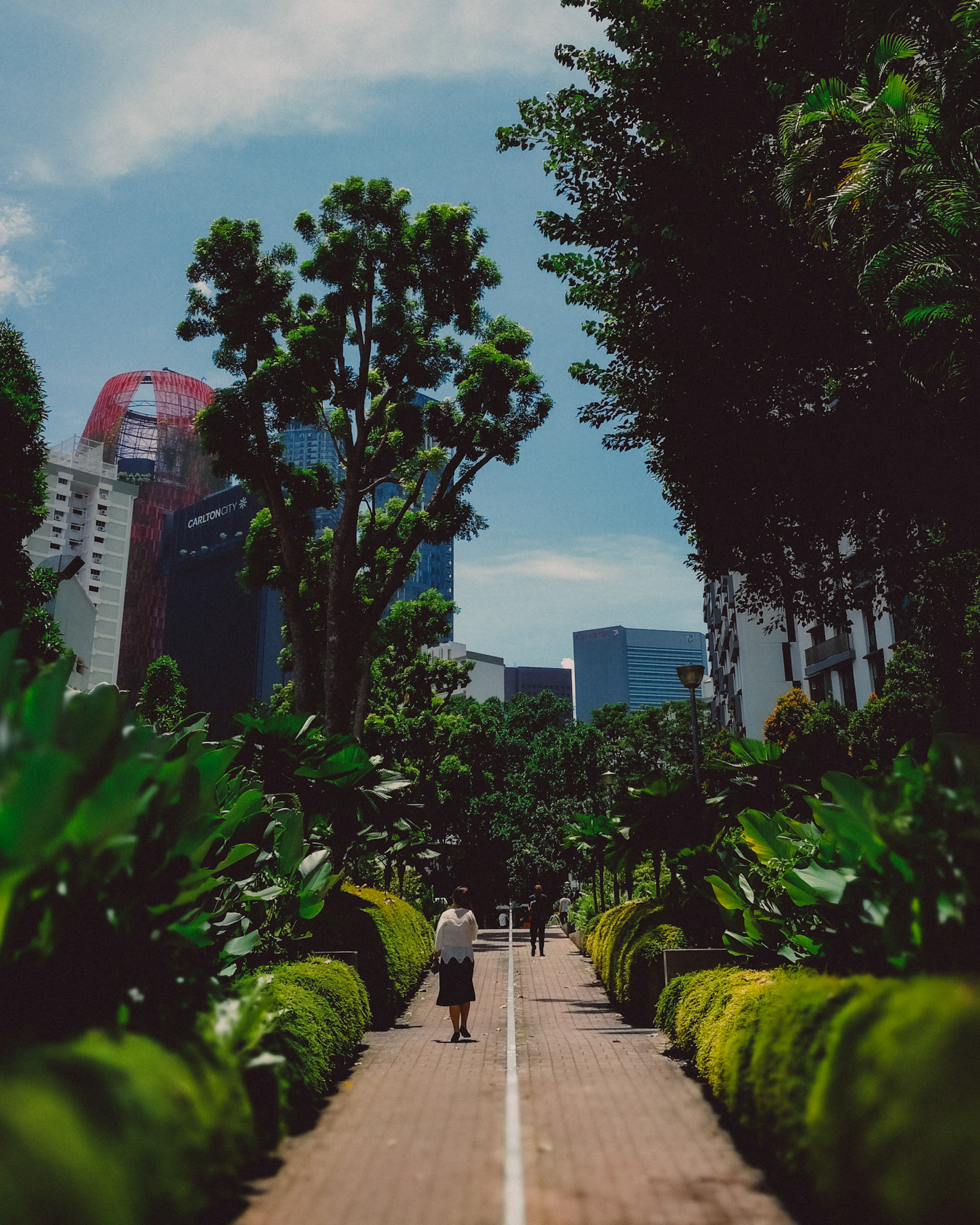 A pedestrian pathway amidst urban greenery, Singapore, October 2017, Huawei Mate 9 Pro.