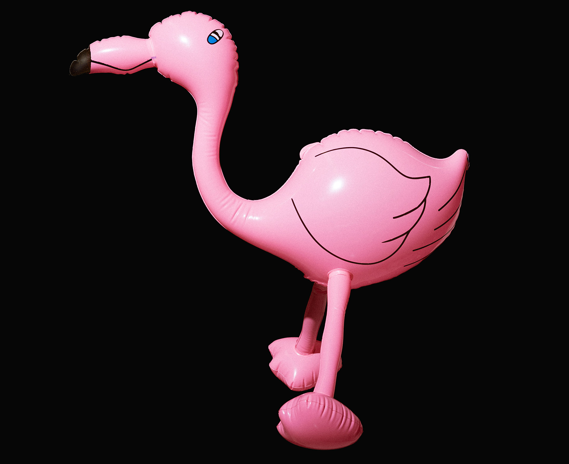 Photograph of a pink inflatable flamingo beach toy on a black background