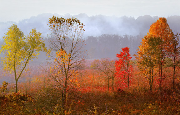 Untitled, Tue Oct 12, 2004,  8:48:07 PM,  8C, 6000x8000,  (0+0), 100%, bent 6 stops, 1/400 s, R17.6, G0.0, B24.3