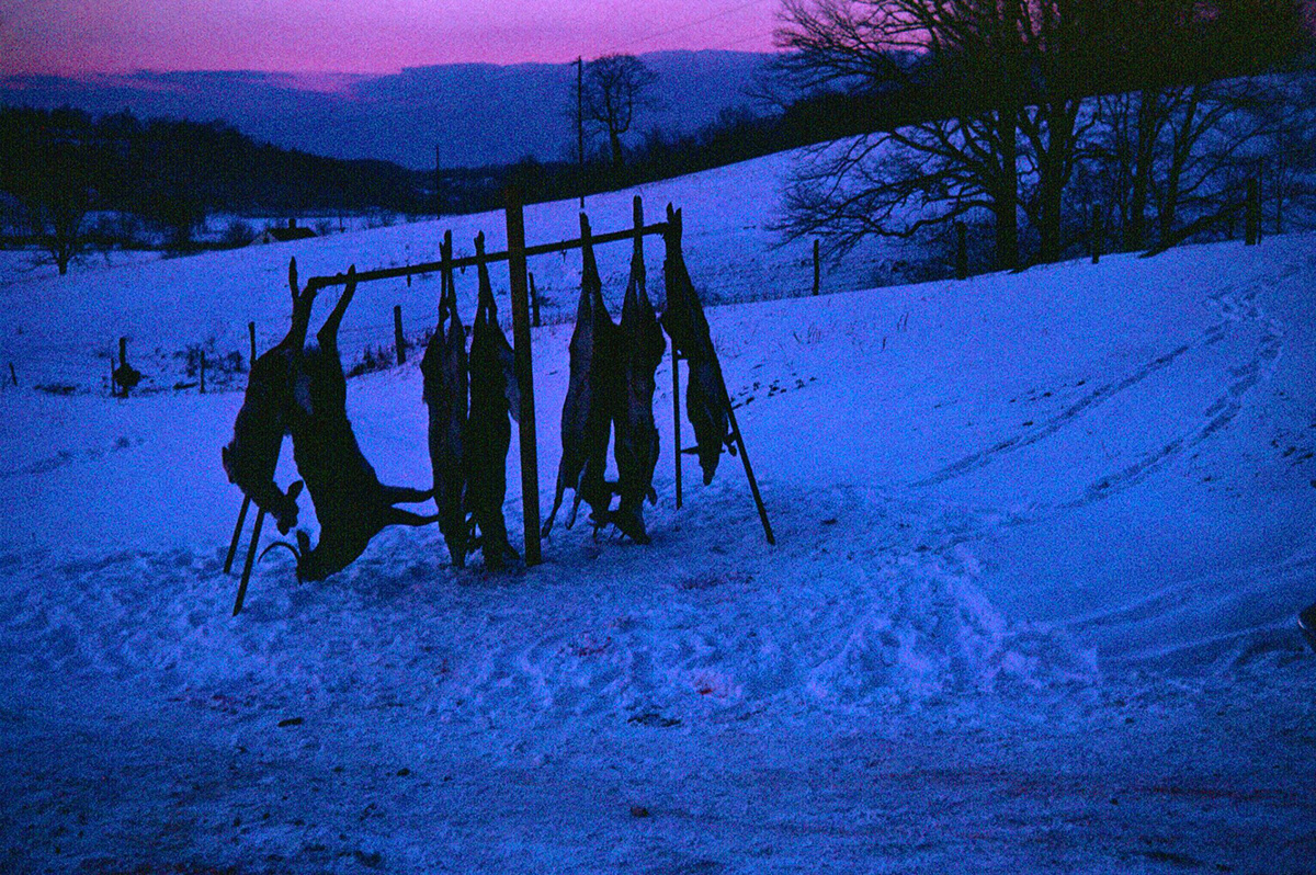 veryBarry 196? Hunting Slides