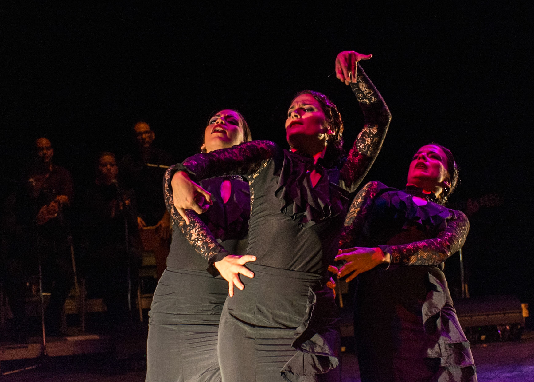 Ecos Flamenco Company (2017)