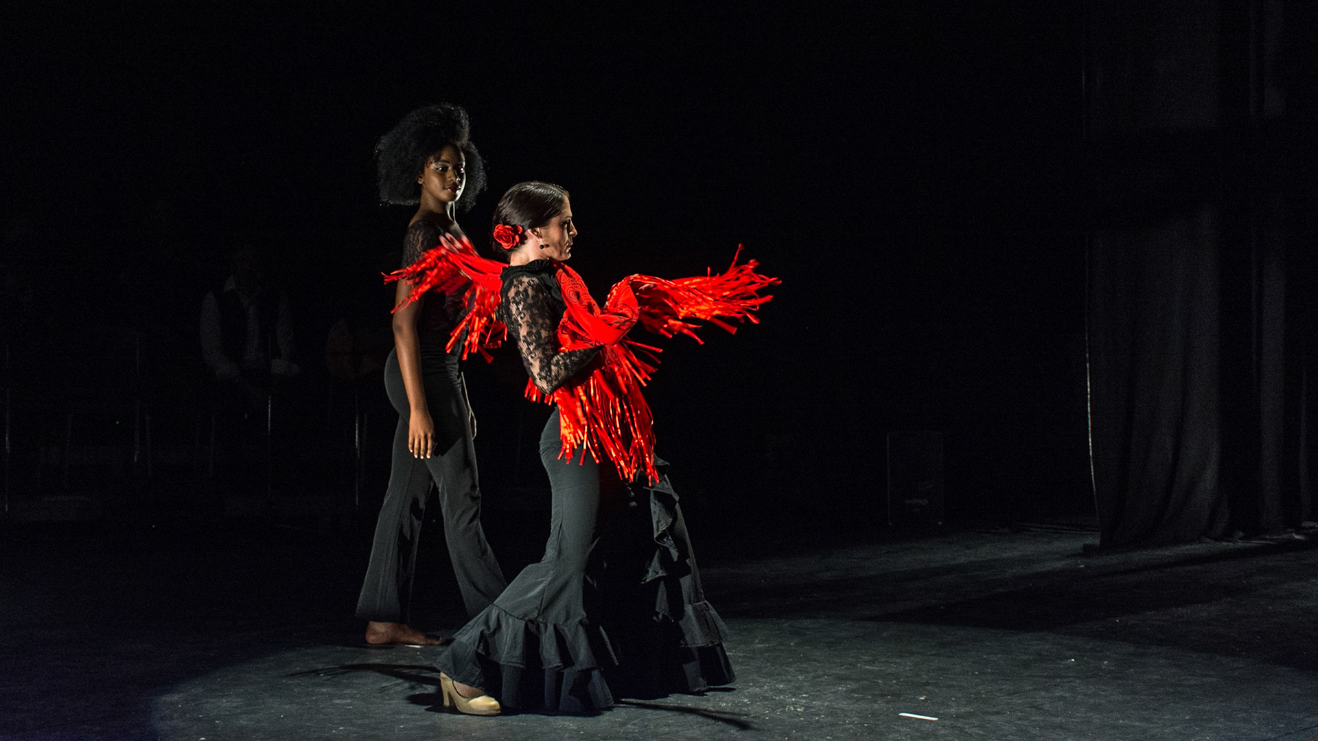 Ecos Flamenco Company (2017)