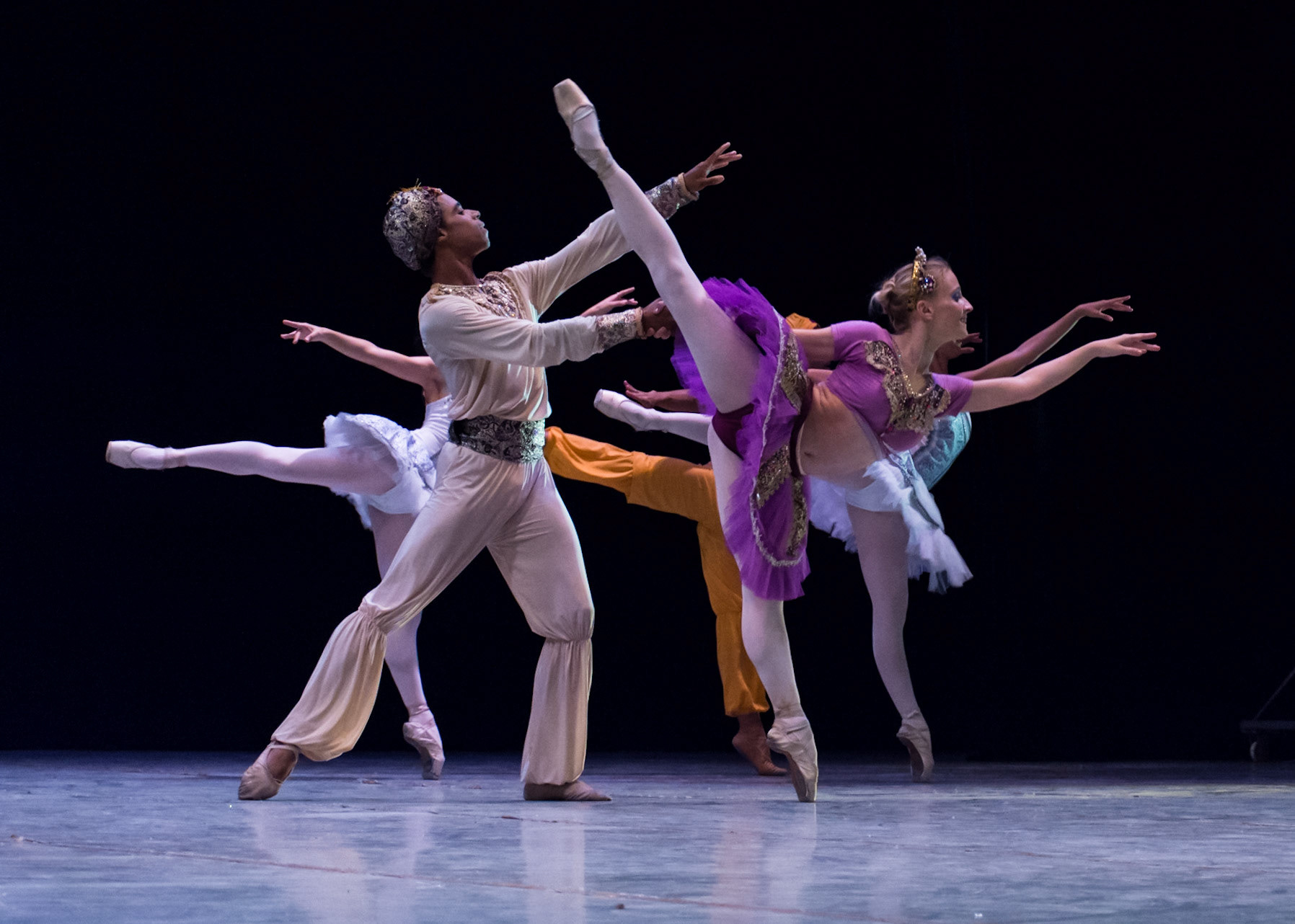 Prodanza Ballet Academy (2017)