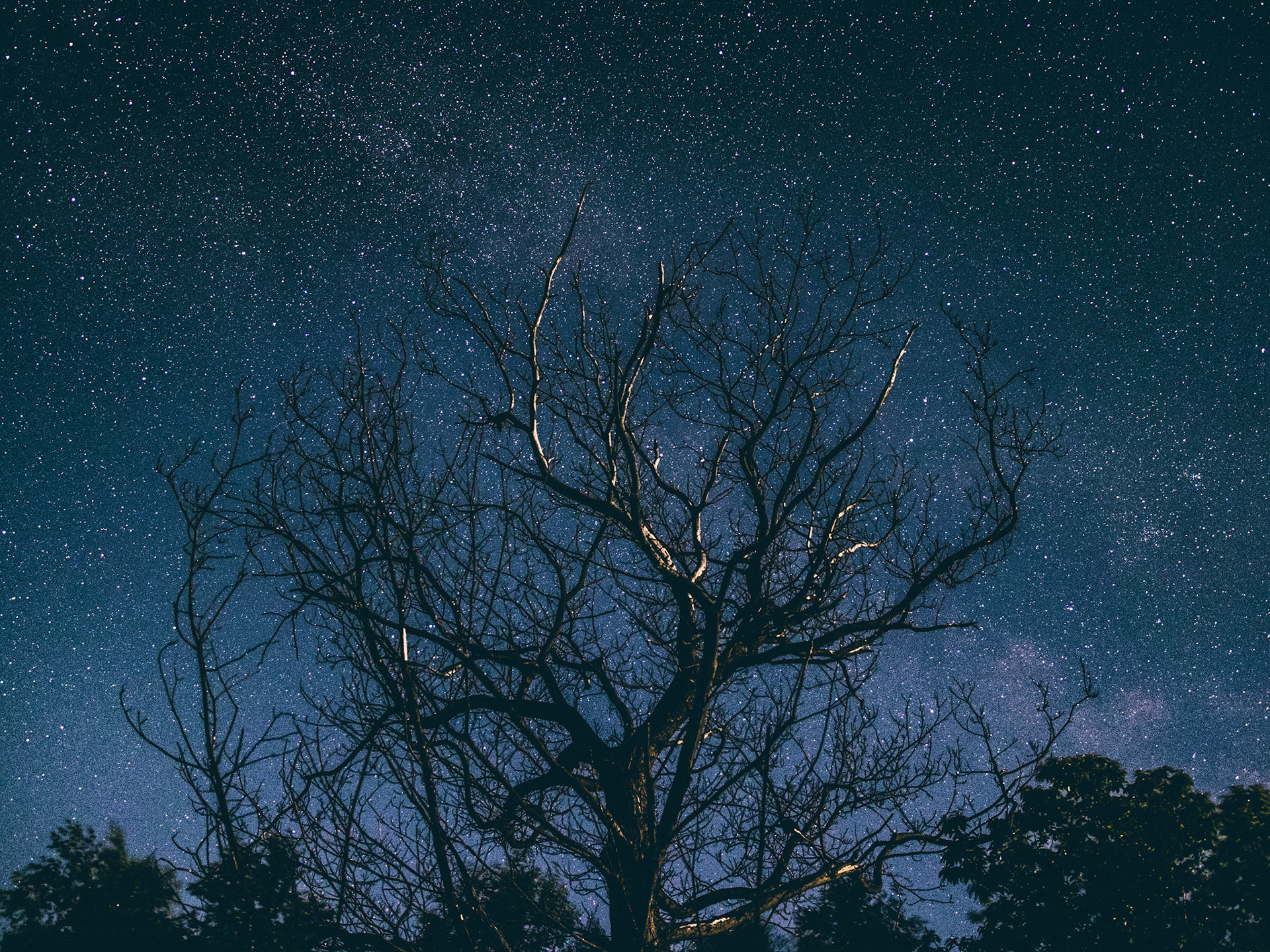 In the stars