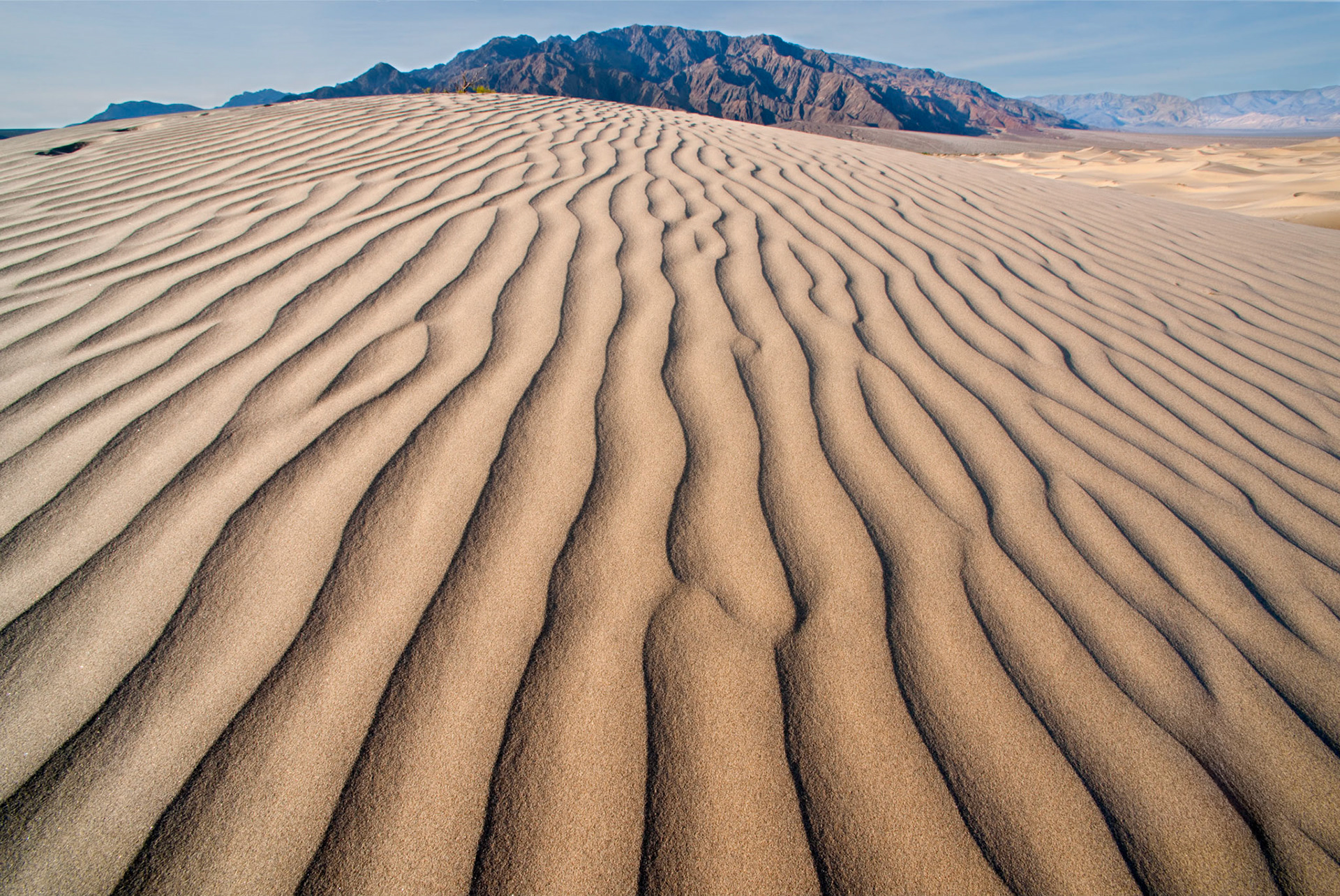 Death Valley Sand Dunes
