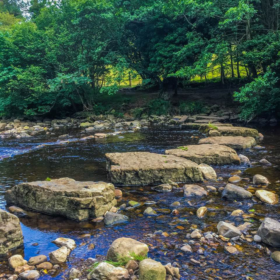 Stepping Stones, River Cover, Wensleydale