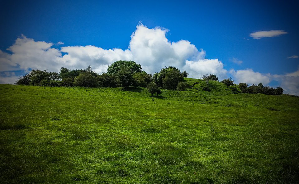 William's Hill, Middleham