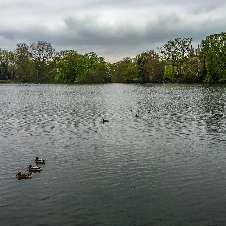 Eagle Pond, Snaresbrook