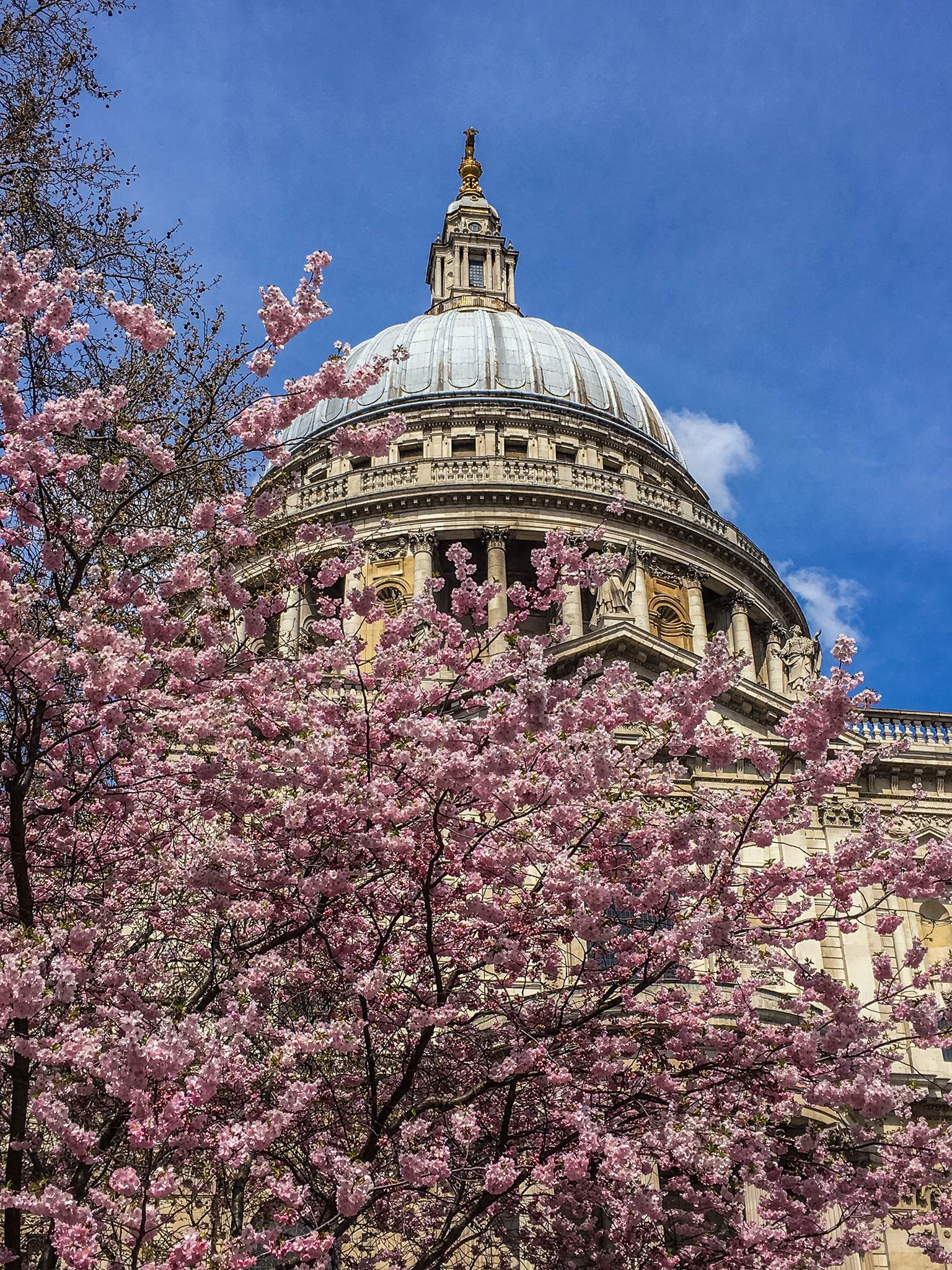 St Paul's in Spring