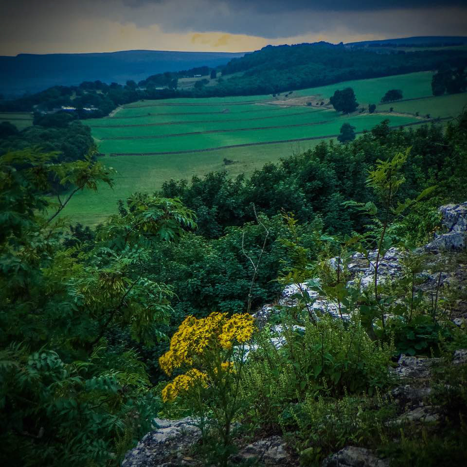 Yorkshire Drystone Dykes