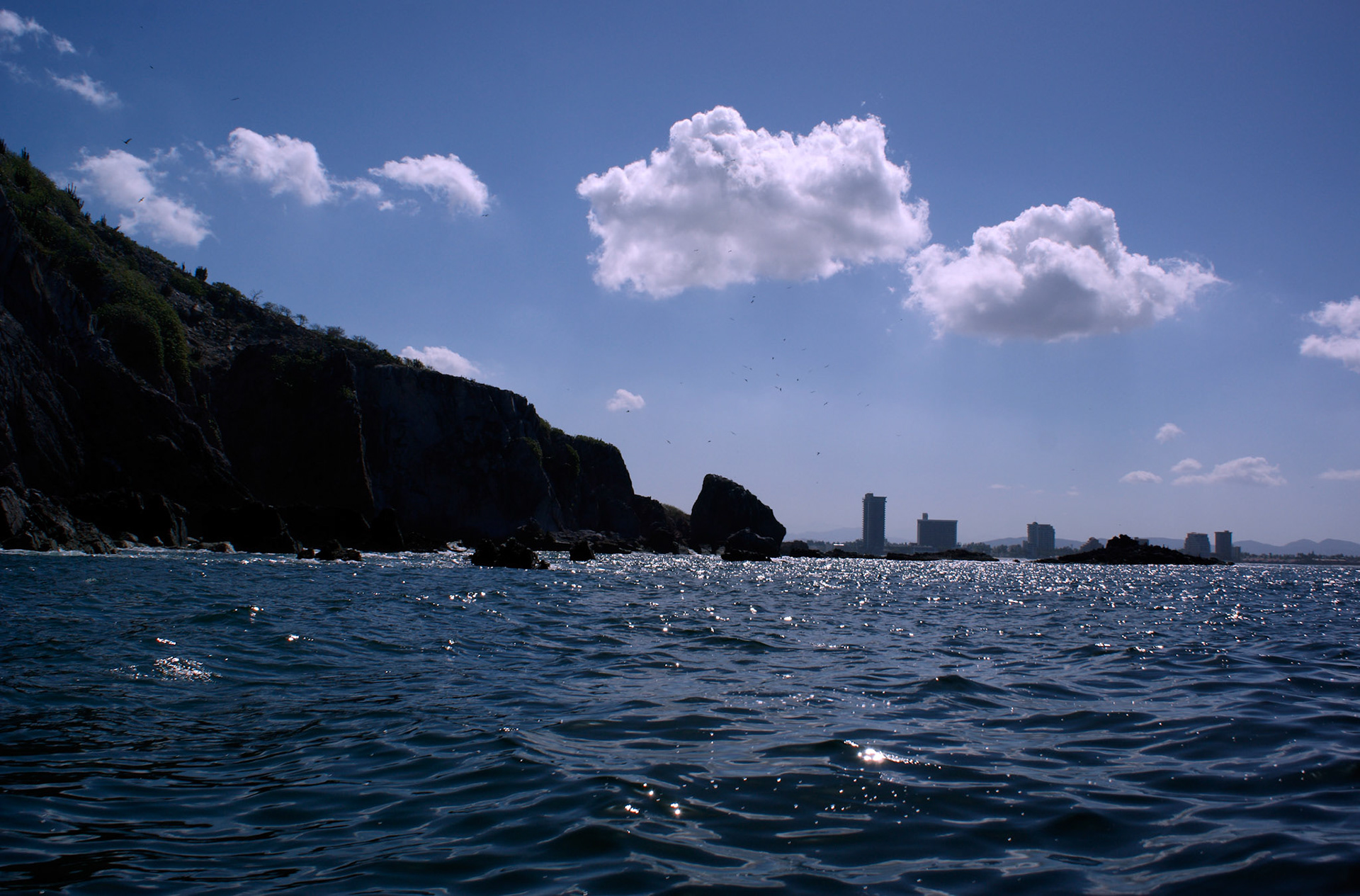 SONY DSC