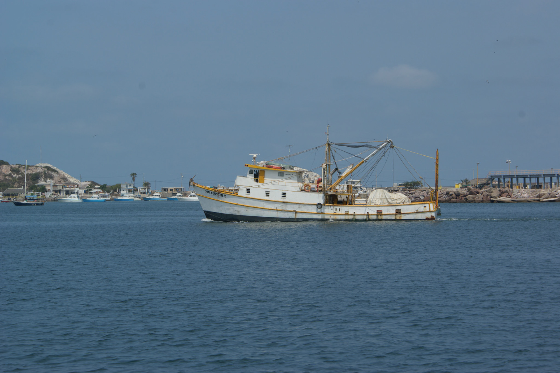 SONY DSC