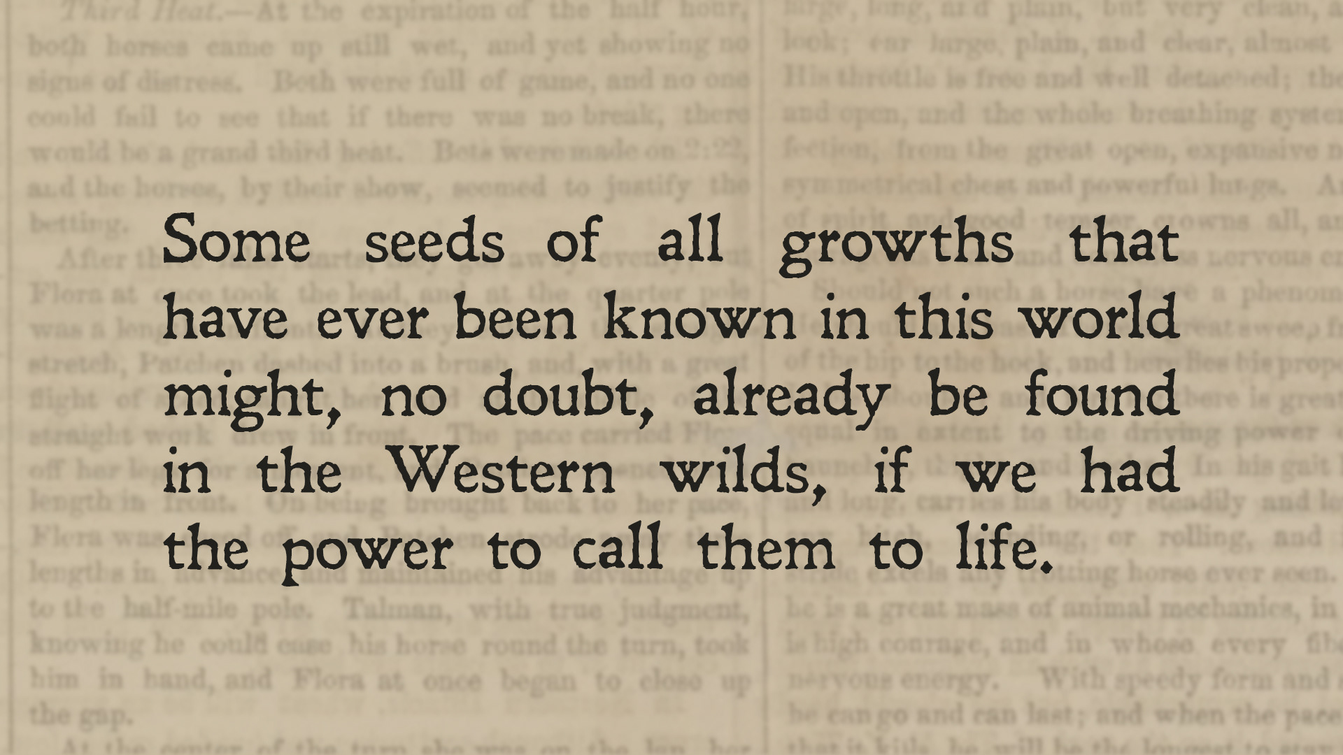 Example of quote designs/asset for the Margaret Fuller film