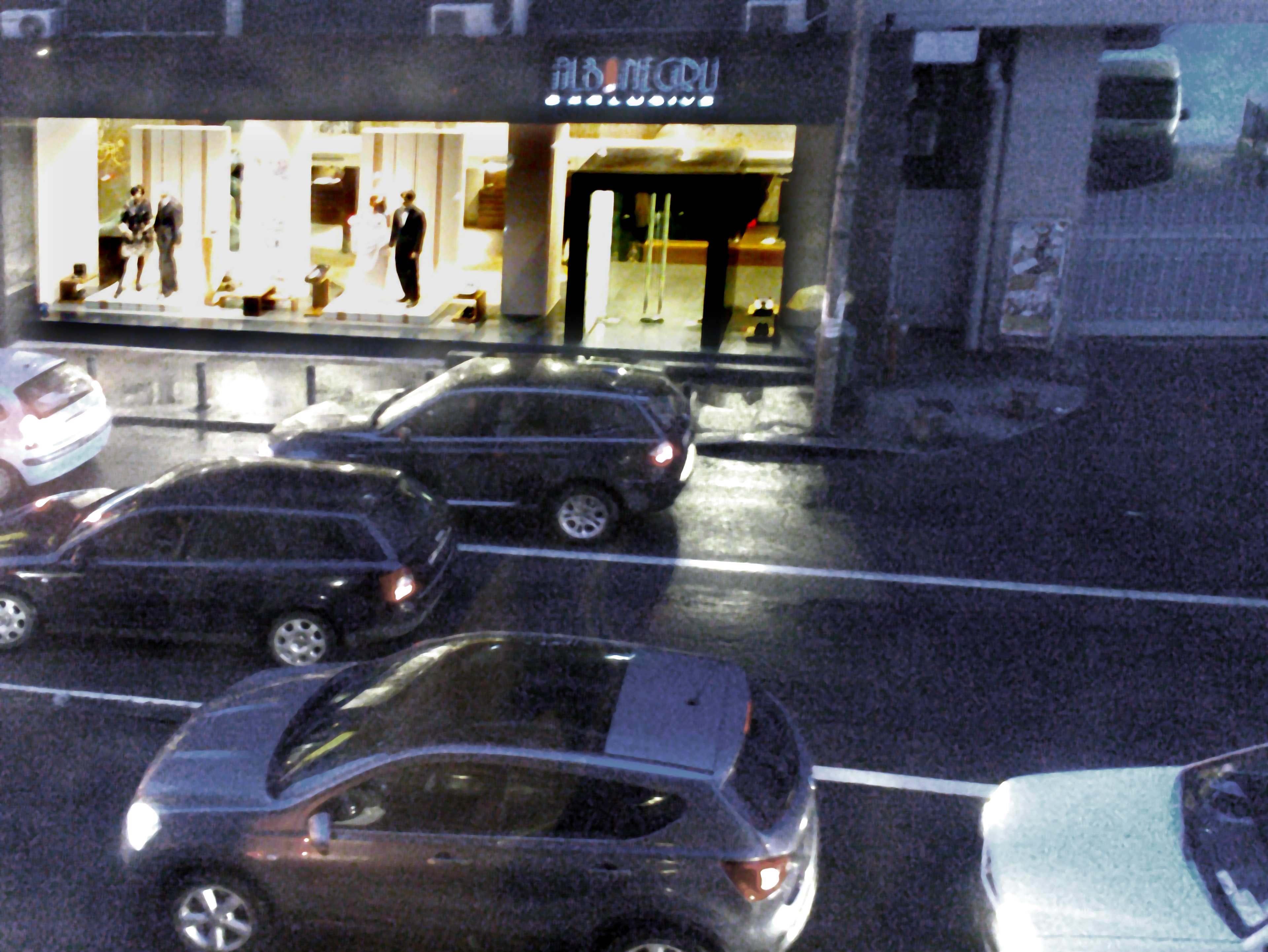 ”Wedding dresses-store”, 2009