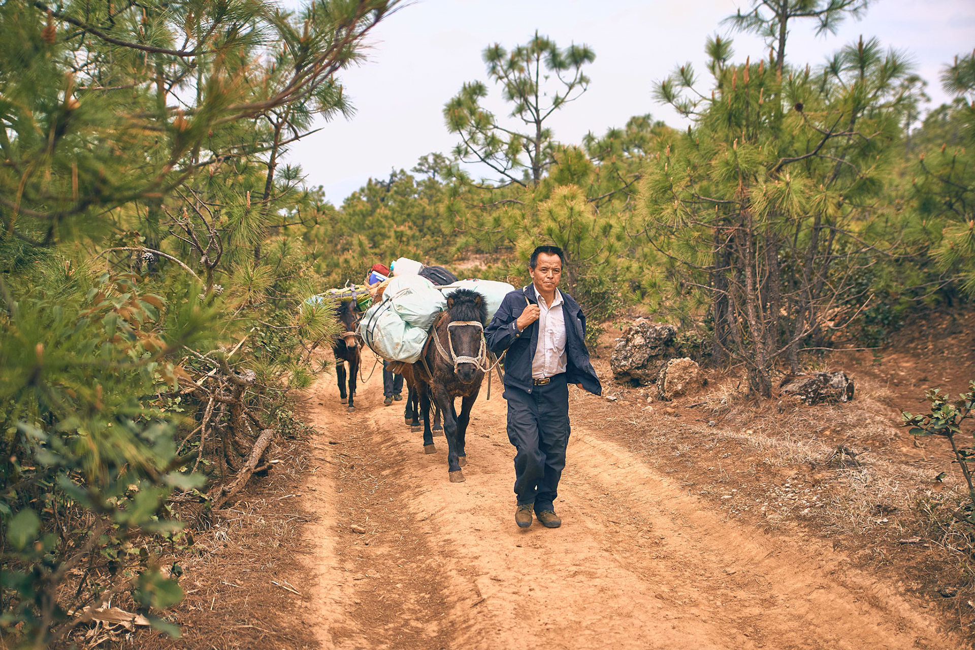 Traveling with mule caravana in Cangshan mountains