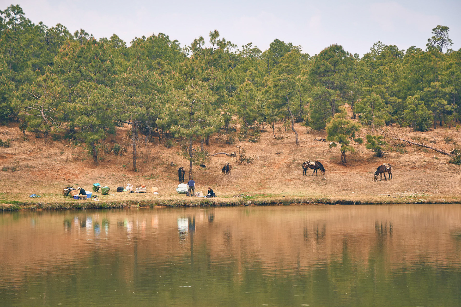 Traveling with mule caravana in Cangshan mountains