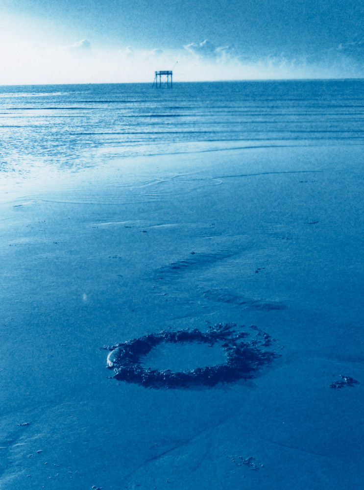 Tirage cyanotype sur papier Bergger Cot 320