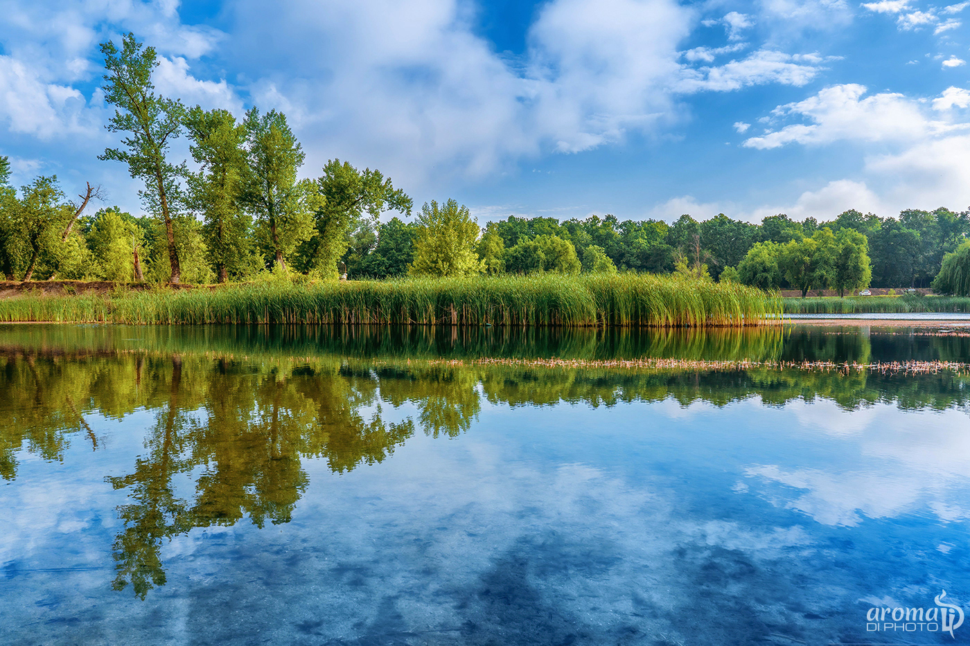 Reflection - Maltaret, Arad, Romania