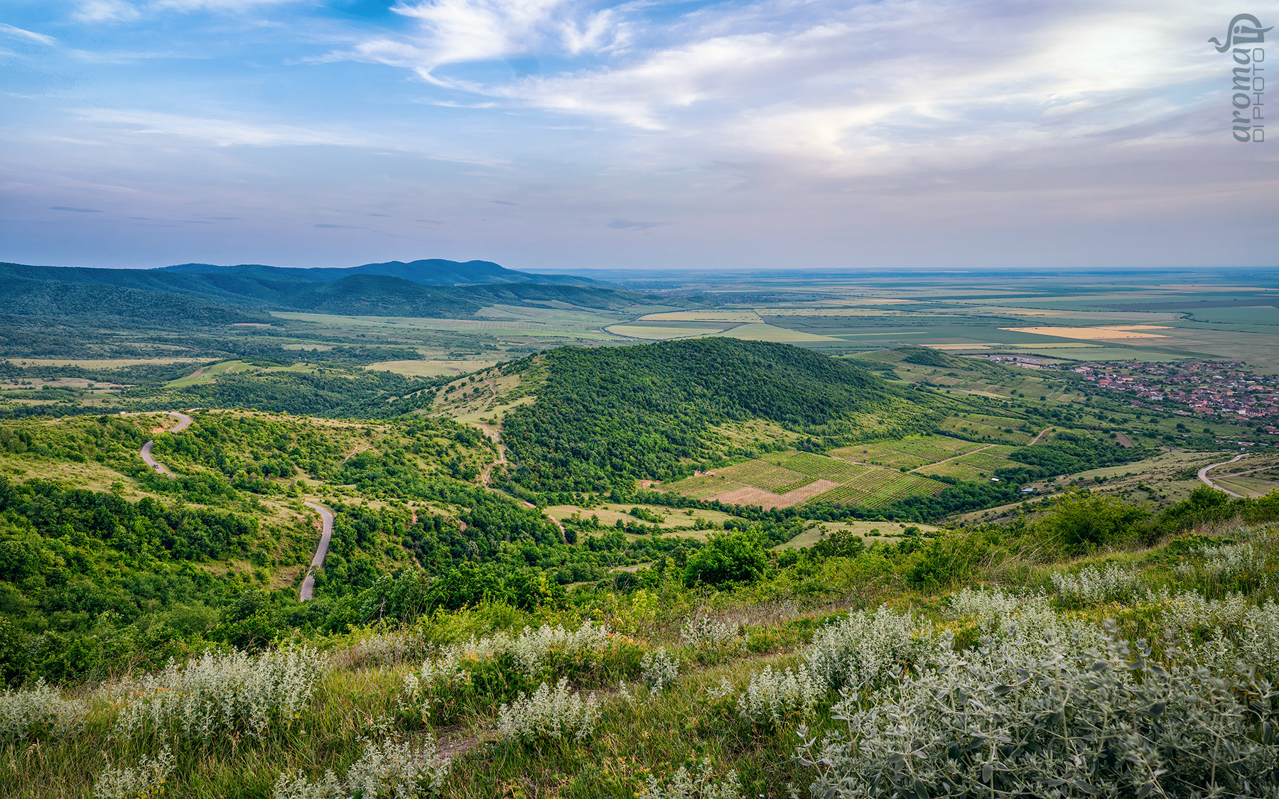 Green and Calm Hills