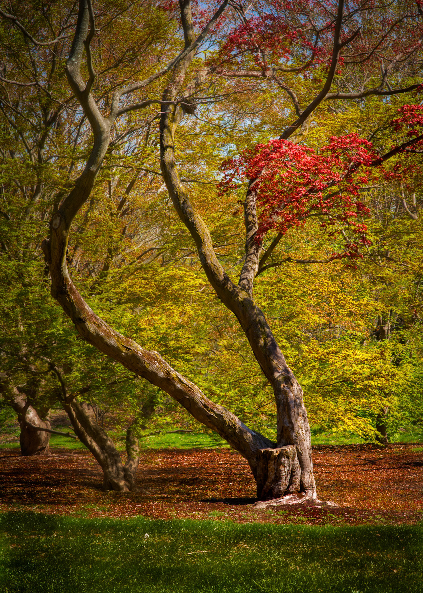 Mass State Parks DCR 108