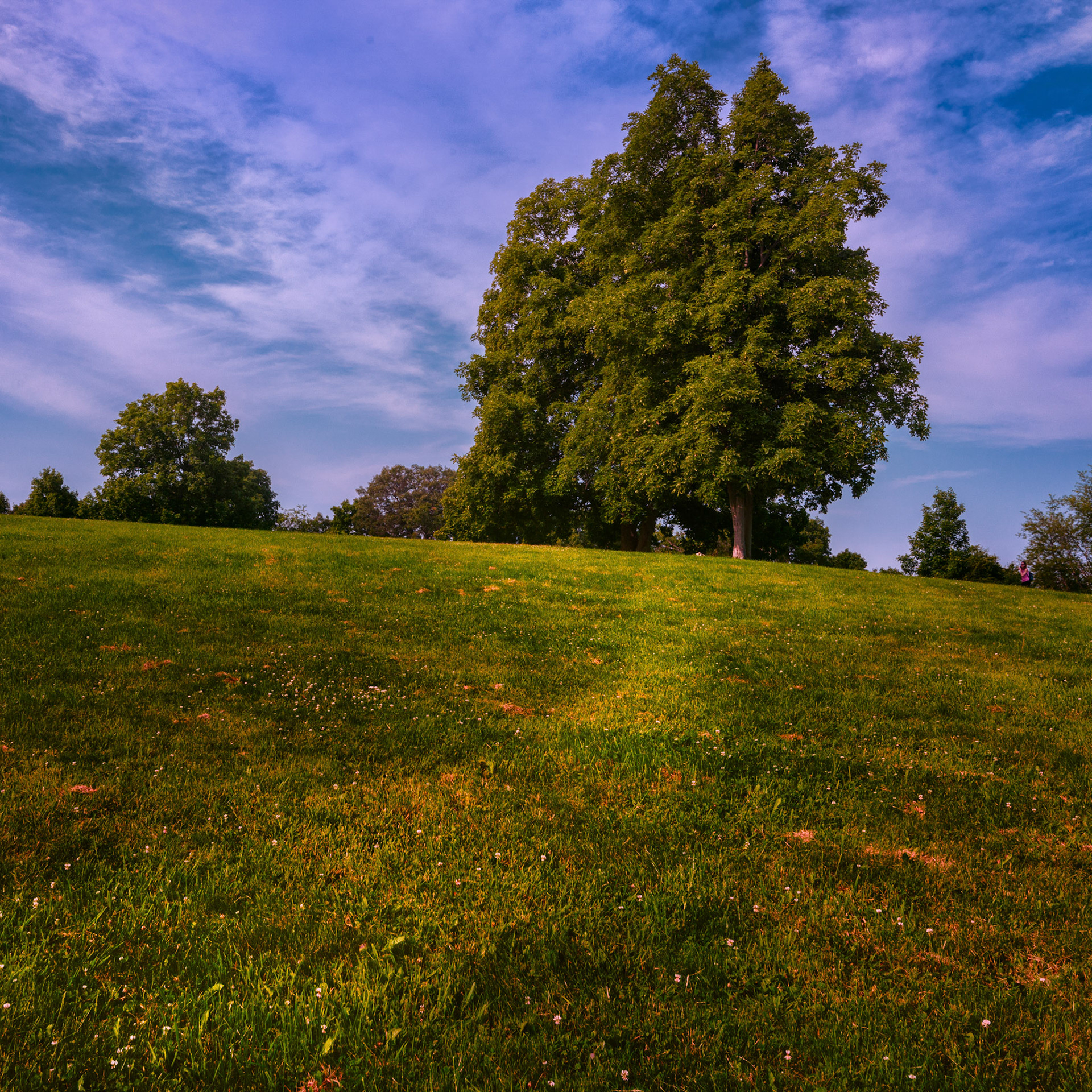 Mass State Parks DCR 1022