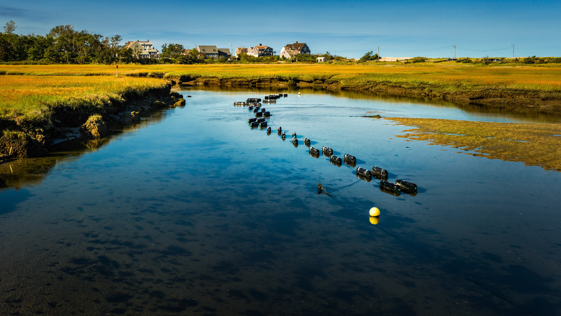 Mass State Parks DCR 1019