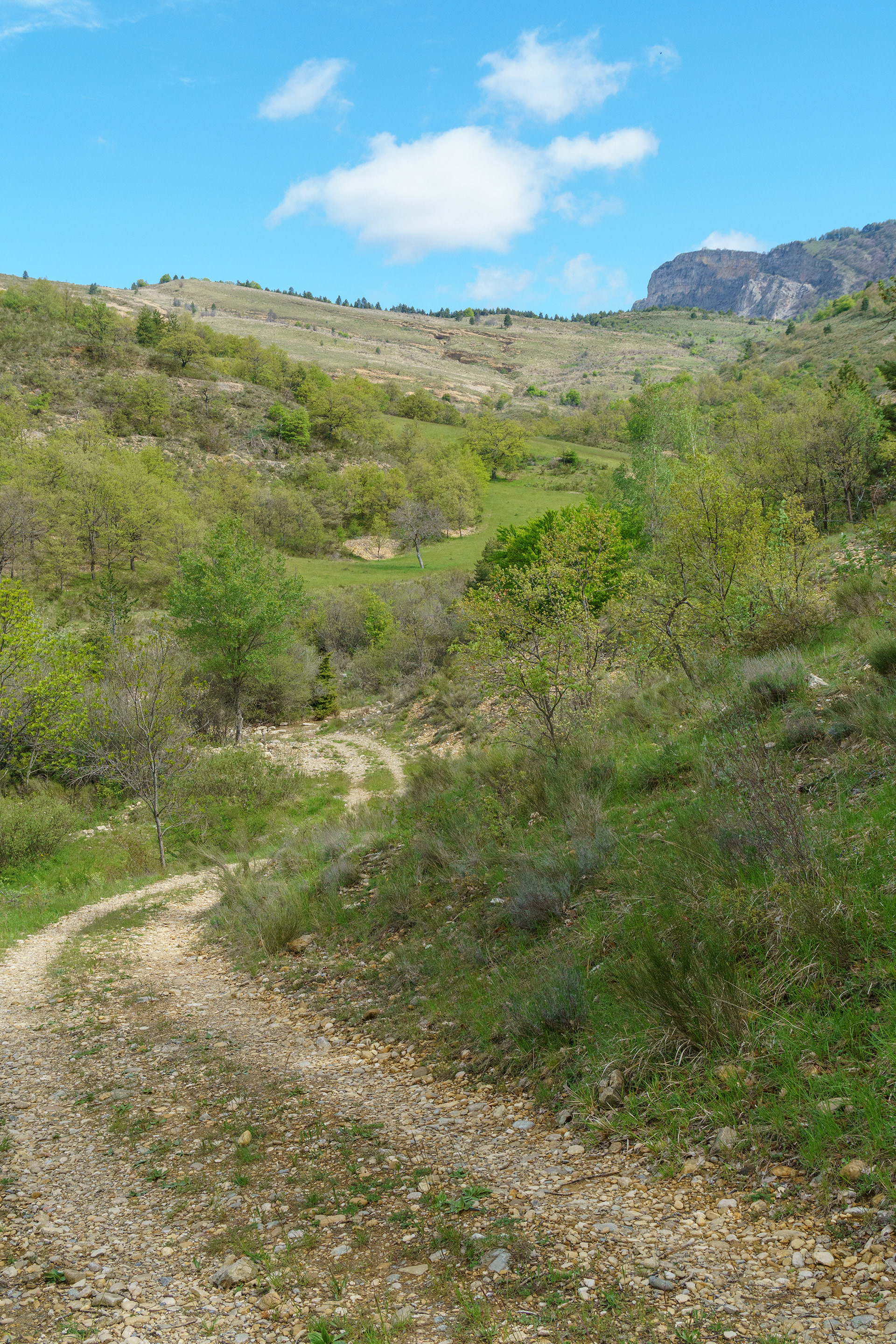 à l'approche du ravin des Graves