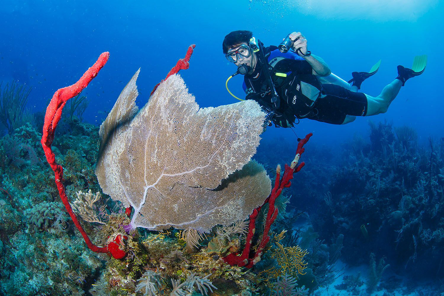 Bernard Radvaner Underwater Photography GARDEN OF THE QUEEN CUBA