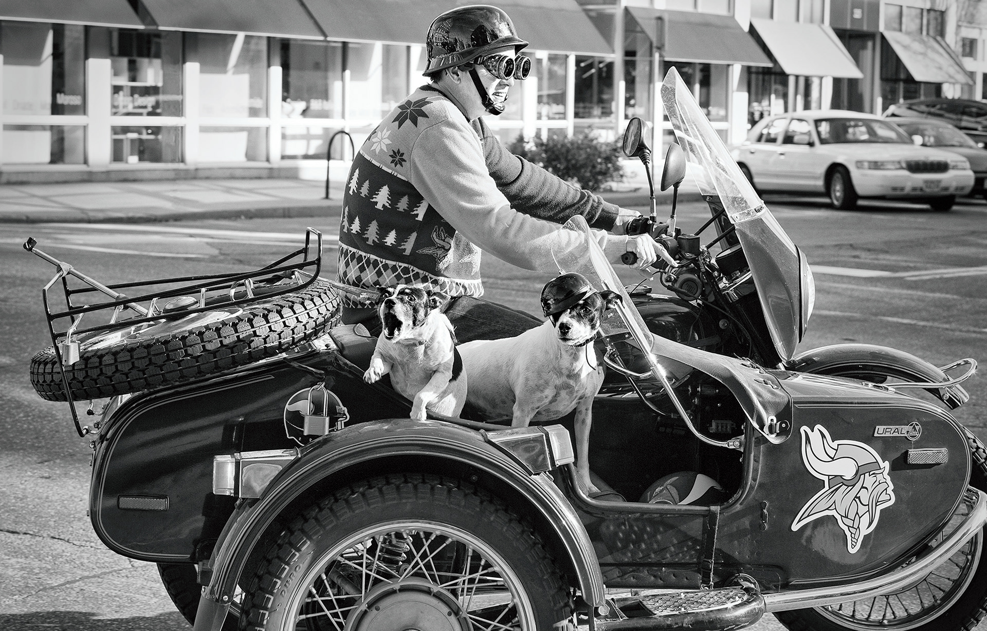 Helmet Hounds
