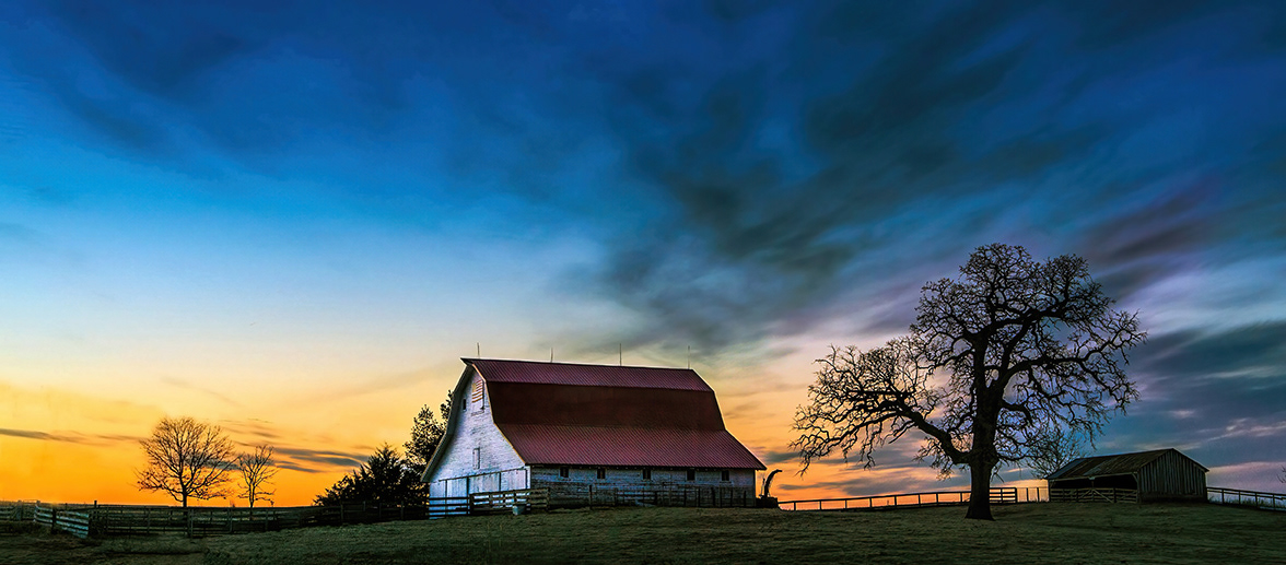 Iowa Farmscapes 5