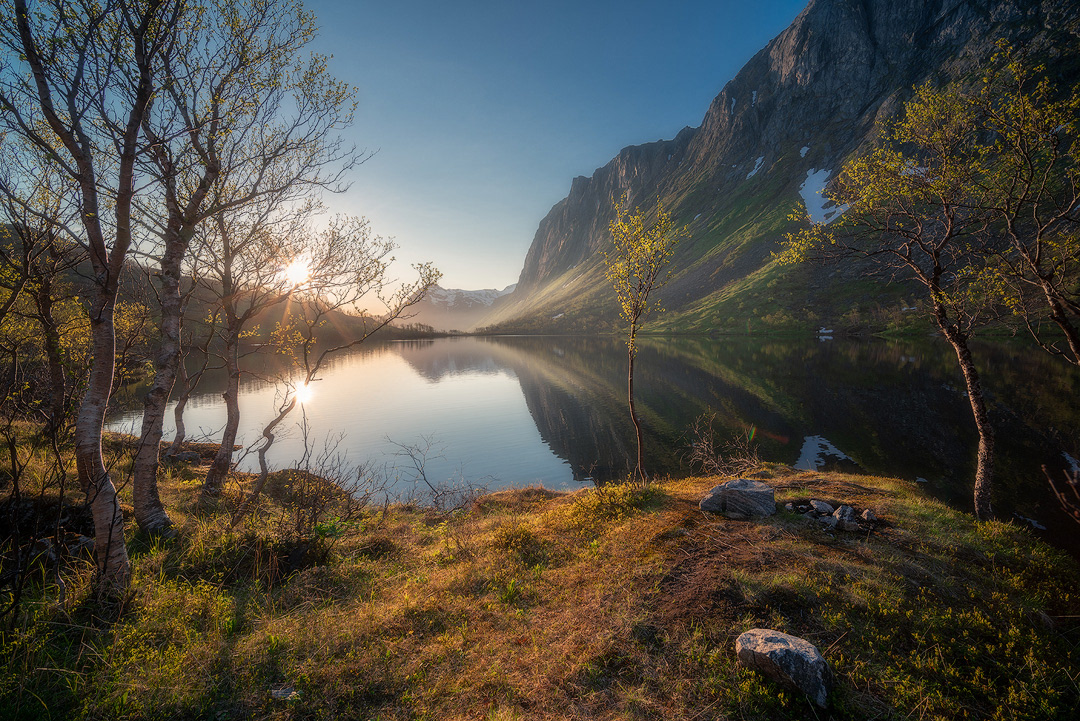 Senja