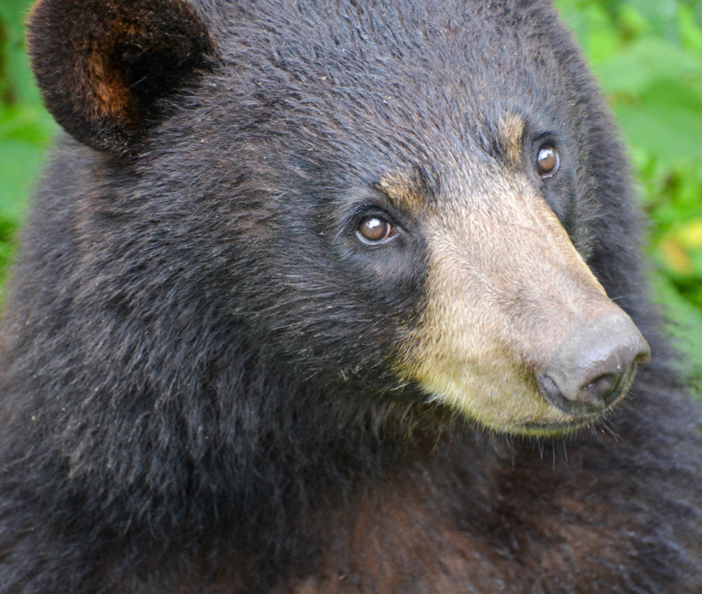 If only I could reach