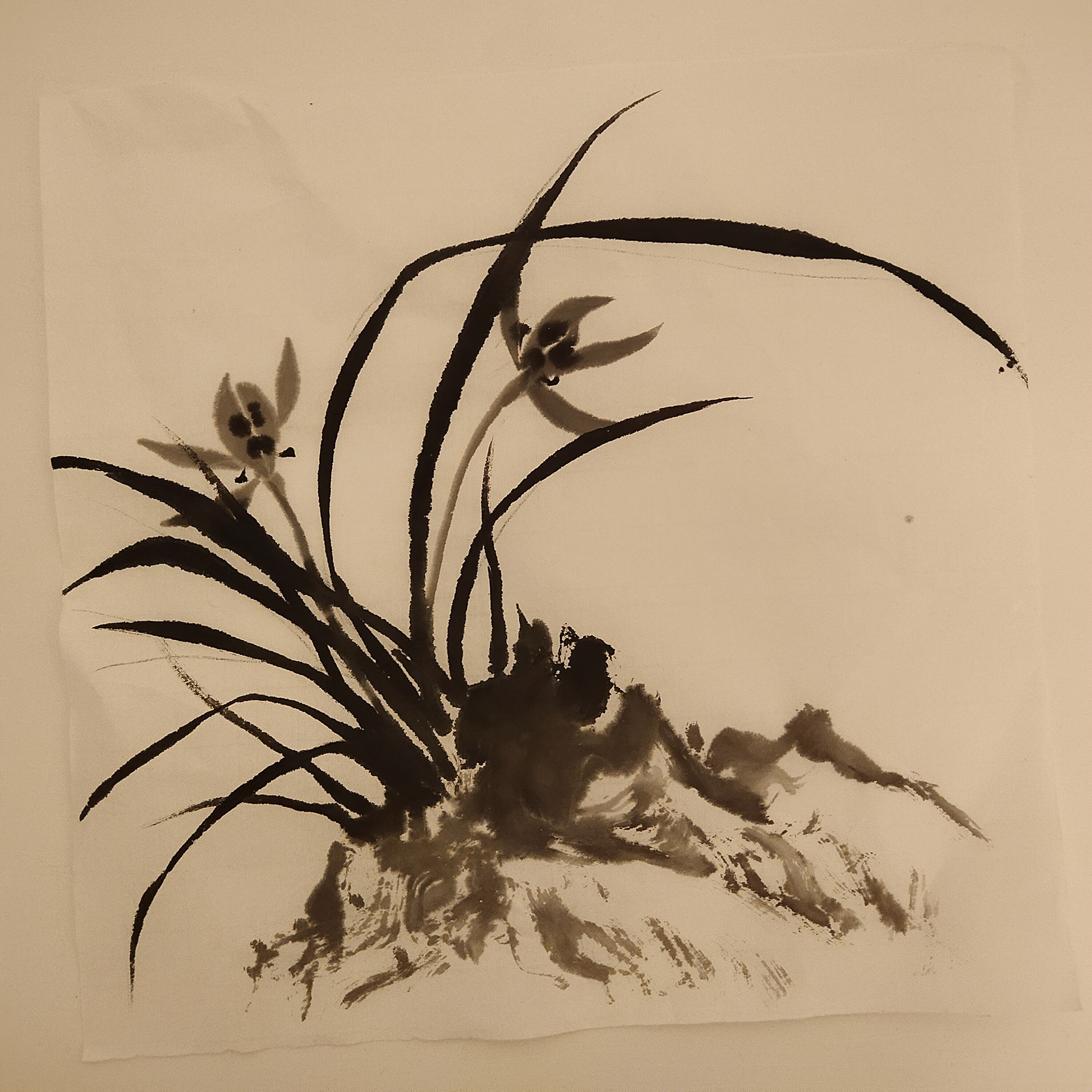 Grass and Flowers on Rock