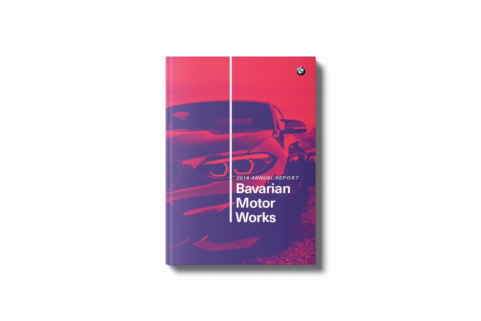 edwin soehaili a year of bmw sec audited financial statements 5 projection template edwin soehaili a year of bmw sec audited financial statements 5 projection template