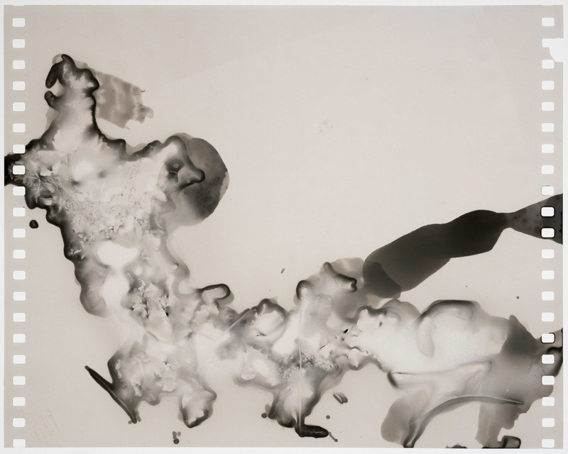 ‘Para-photo-mancy’ images: Sam Nightingale, made in collaboration with the plants and lake water at Kilpisjärvi Biological Station and the members of 'Augury: Machines which look at birds'.