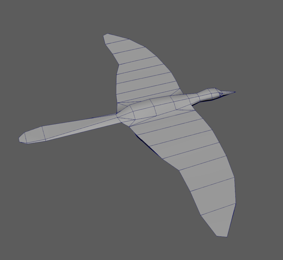Top view of mesh wireframe