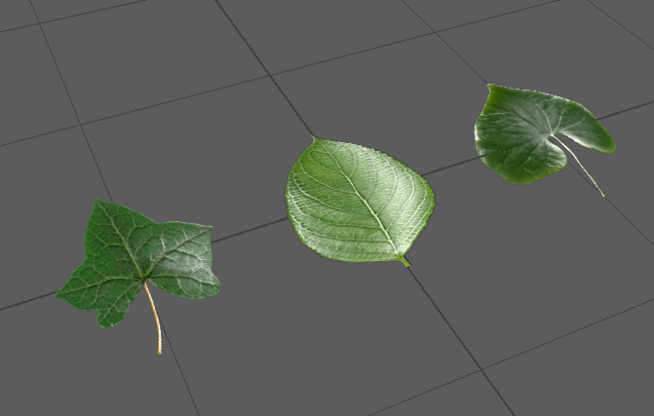 All three leaves