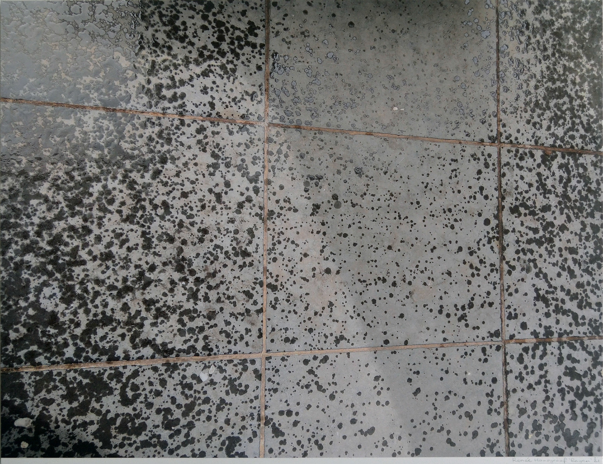Regen, 2021, 67,5 cm x 51,5 cm, Zwart/wit foto op hout