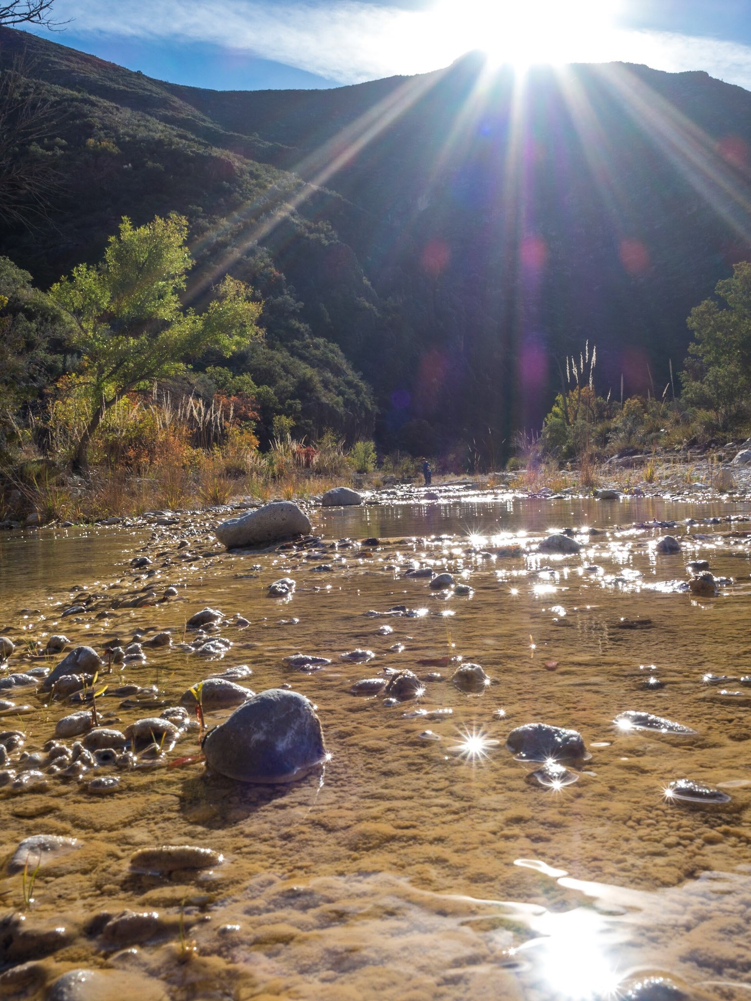 Guadalupe Mountains National Park