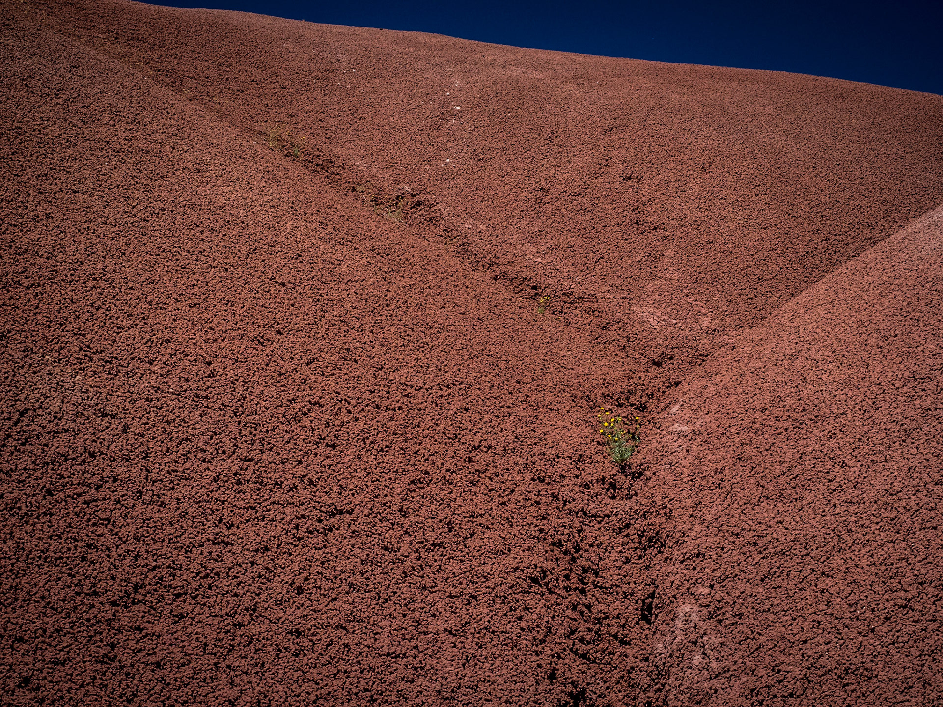 John Day Fossil Beds National Monument
